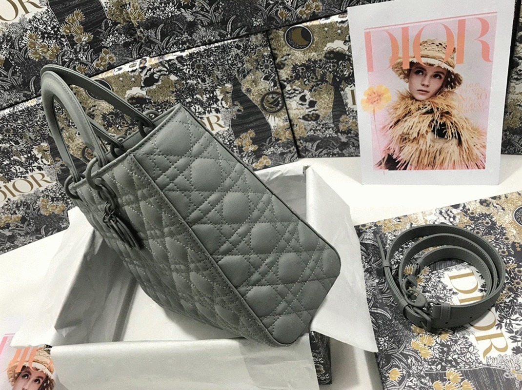 D10r Lady D10r Large Bag Fake in Grey