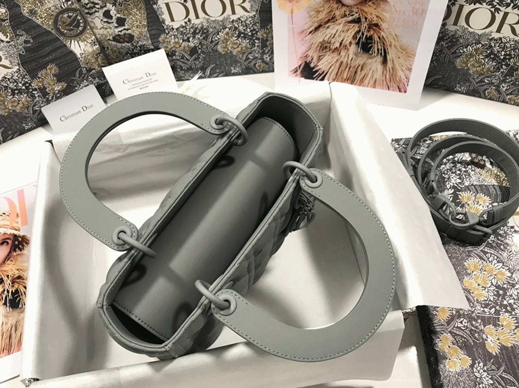 D10r Lady D10r Medium Bag Replica in Grey