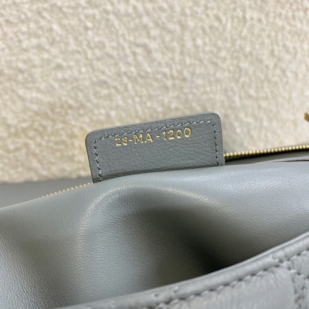 D10r Caro Large Bag Knockoff in Grey