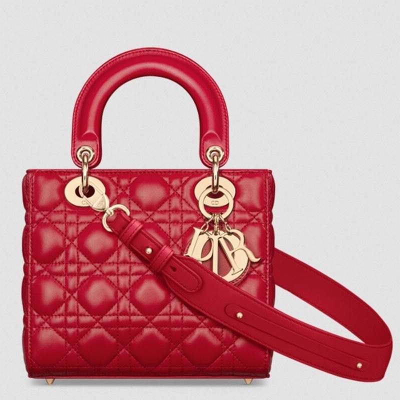 D10r Small Lady D10r My ABCD10r Bag Fake in Red