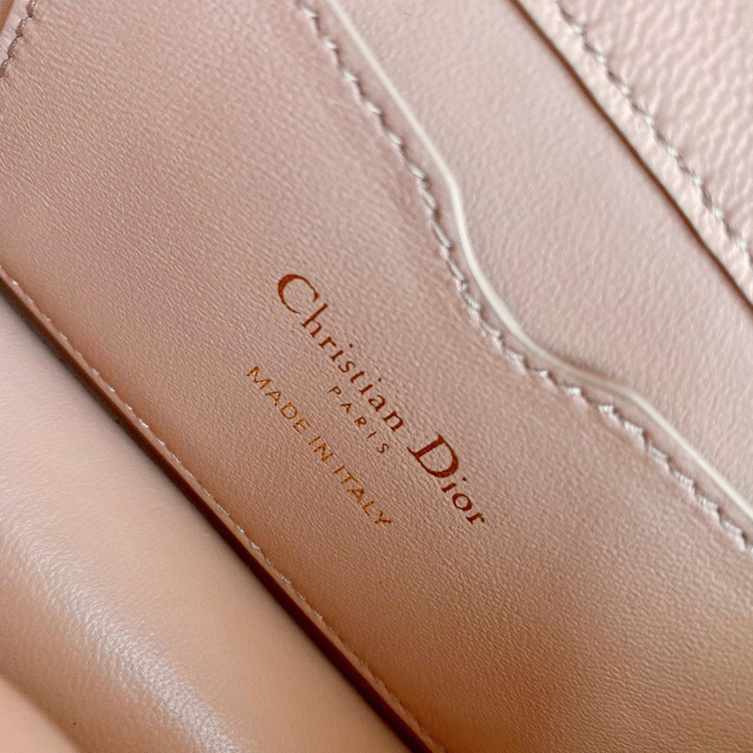 D10r 30 Montaigne Micro Bag Replica in Poudre Box Calfskin