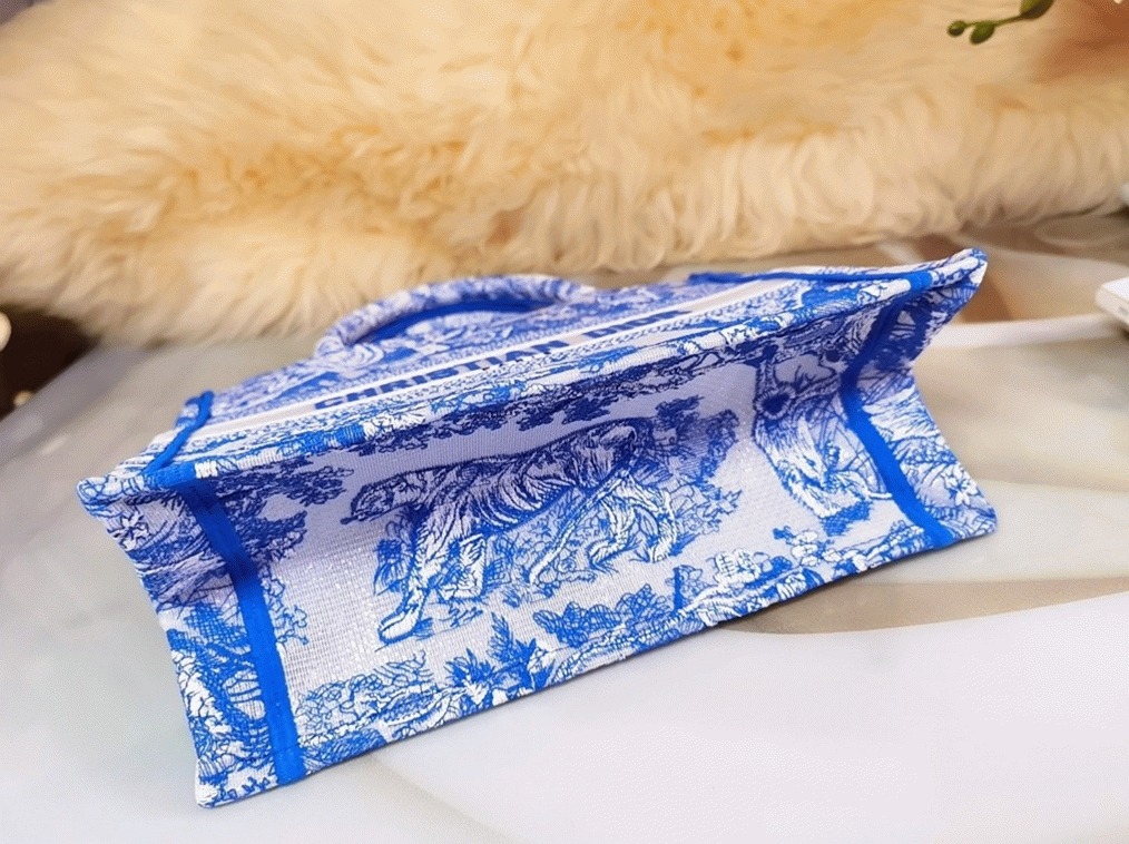 D10r Large Book Tote Bag Fake in Blue Transparent Toile de Jouy Canvas