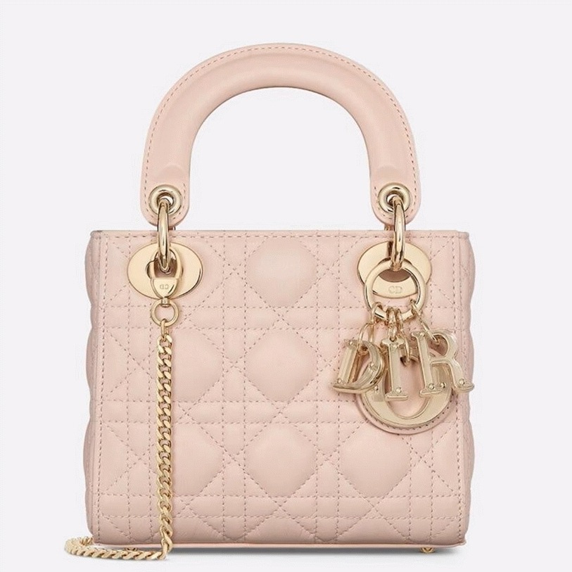 D10r Lady D10r Mini Bag Fake in Pink