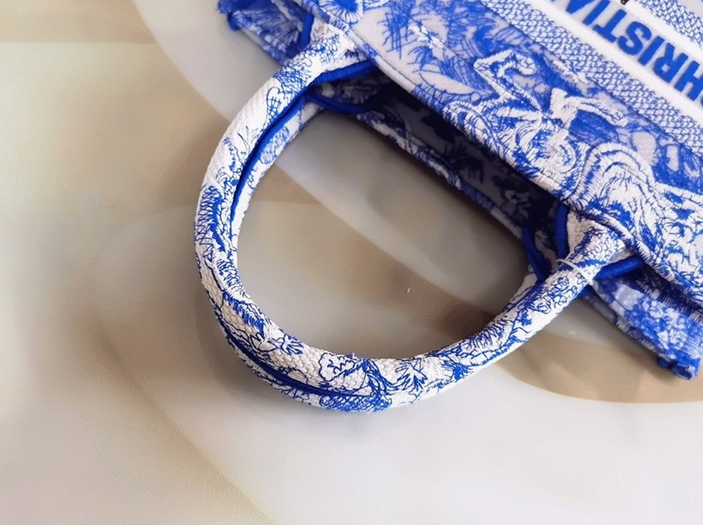 D10r Large Book Tote Bag Fake in Blue Transparent Toile de Jouy Canvas