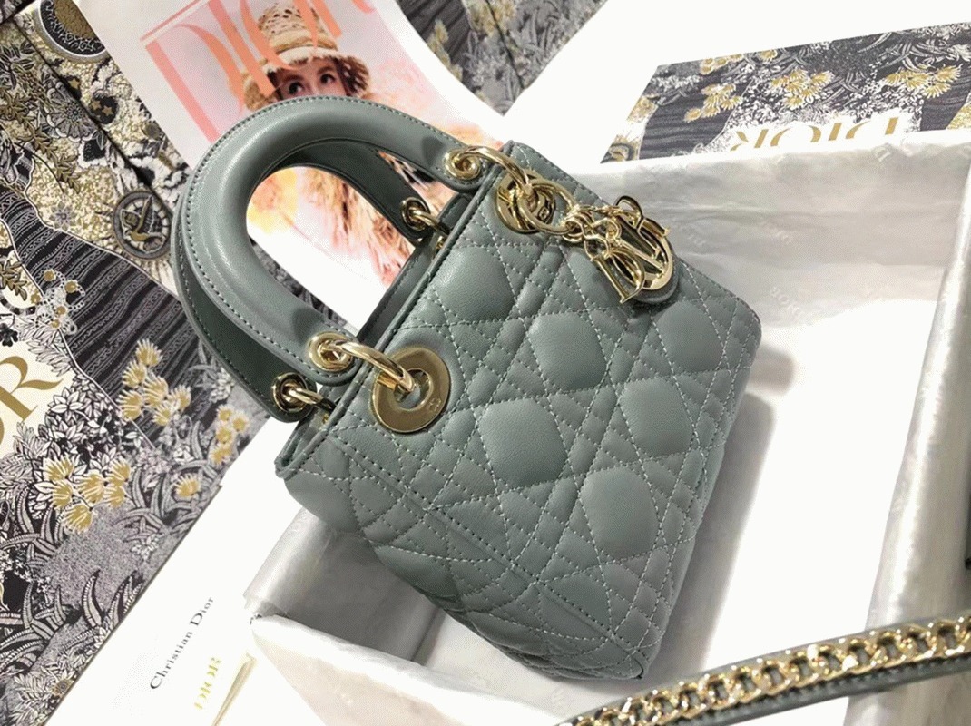 D10r Lady D10r Mini Bag Replica in Grey