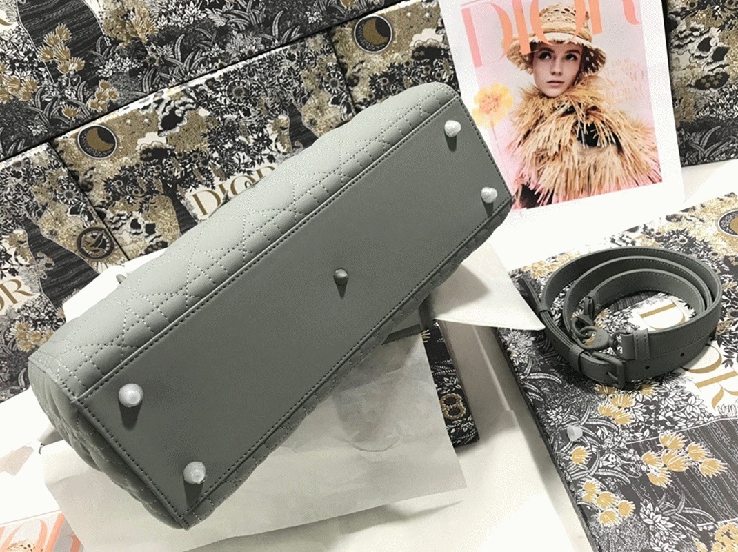 D10r Lady D10r Large Bag Fake in Grey