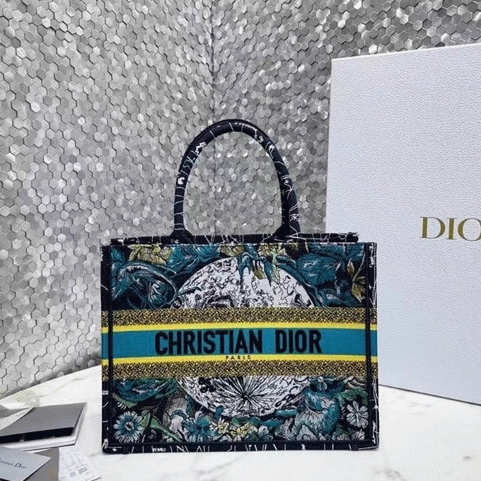 D10r Medium Book Tote Bag Imitation in Blue D10r Constellation Embroidery