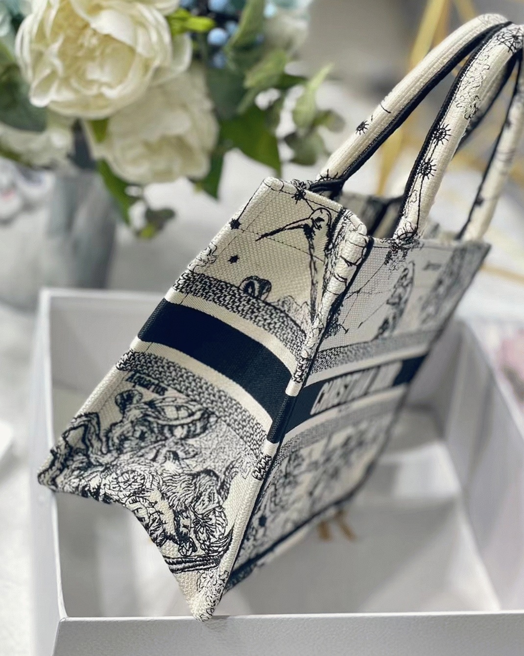 D10r Small Book Tote Bag Faux in White Toile de Jouy Zodiac Embroidery