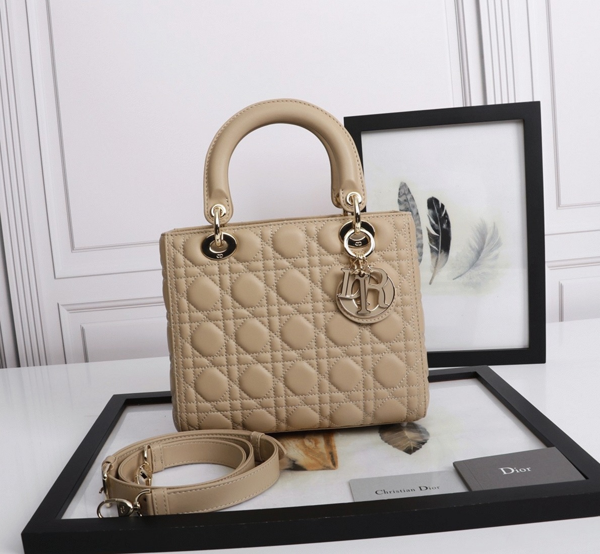 D10r Lady D10r Medium Bag Knockoff in Beige