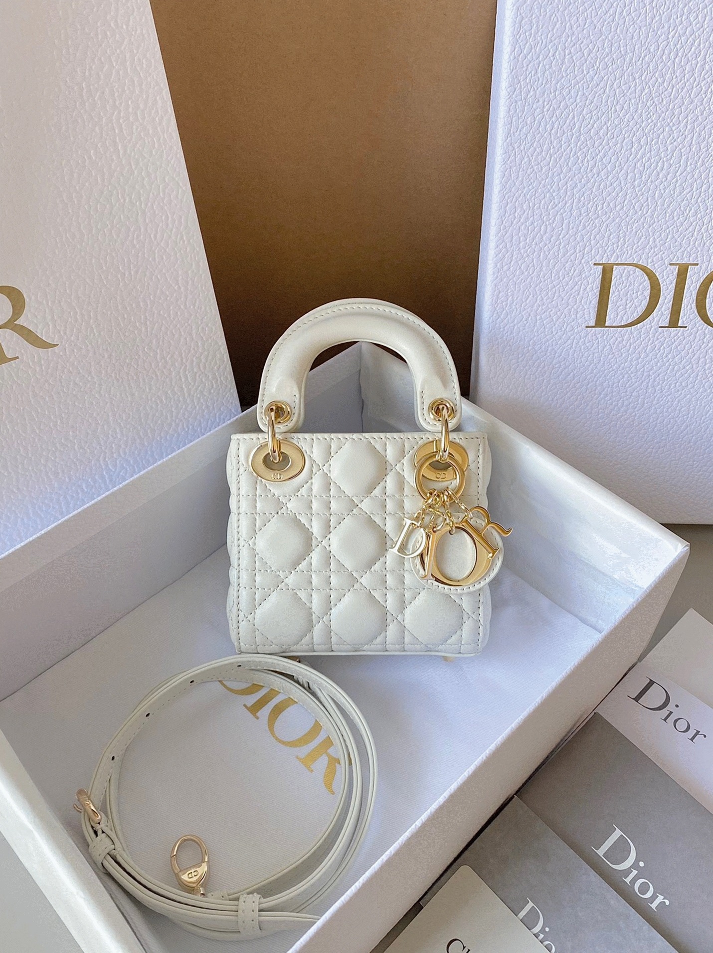 D10r Lady D10r Micro Bag Knockoff in White Cannage Lambskin