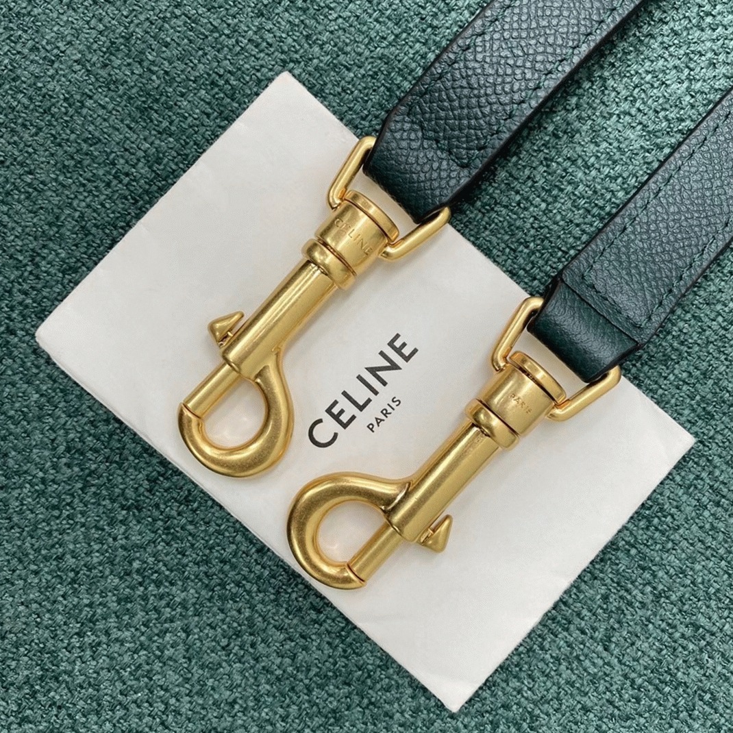 Ce1i*e Micro Belt Bag Fake in Amazone