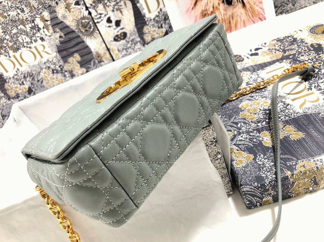 D10r Caro Small Bag Replica in Grey