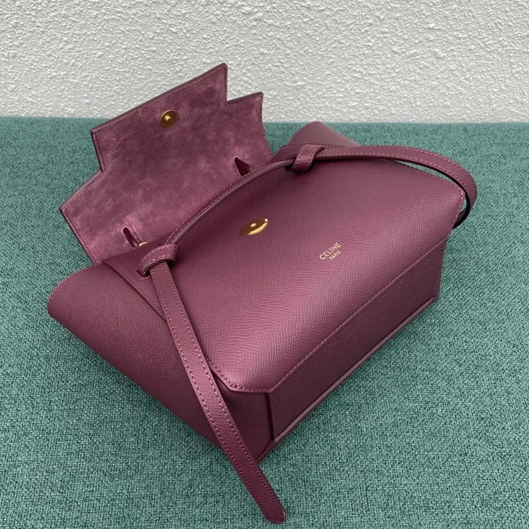 Ce1i*e Belt Nano Bag Fake in Bordeaux
