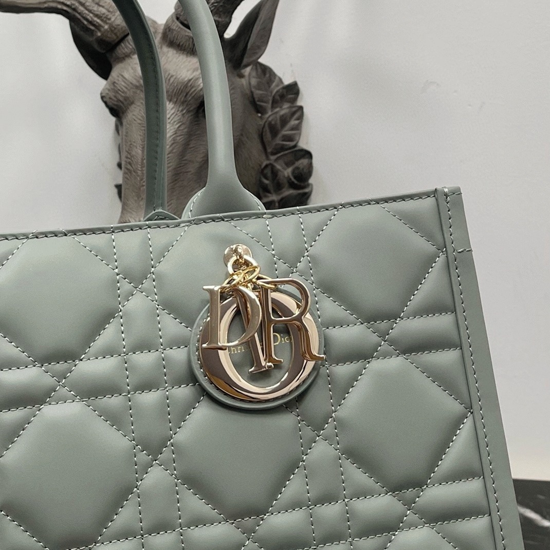 D10r Medium Book Tote Bag Replica with Strap in Grey