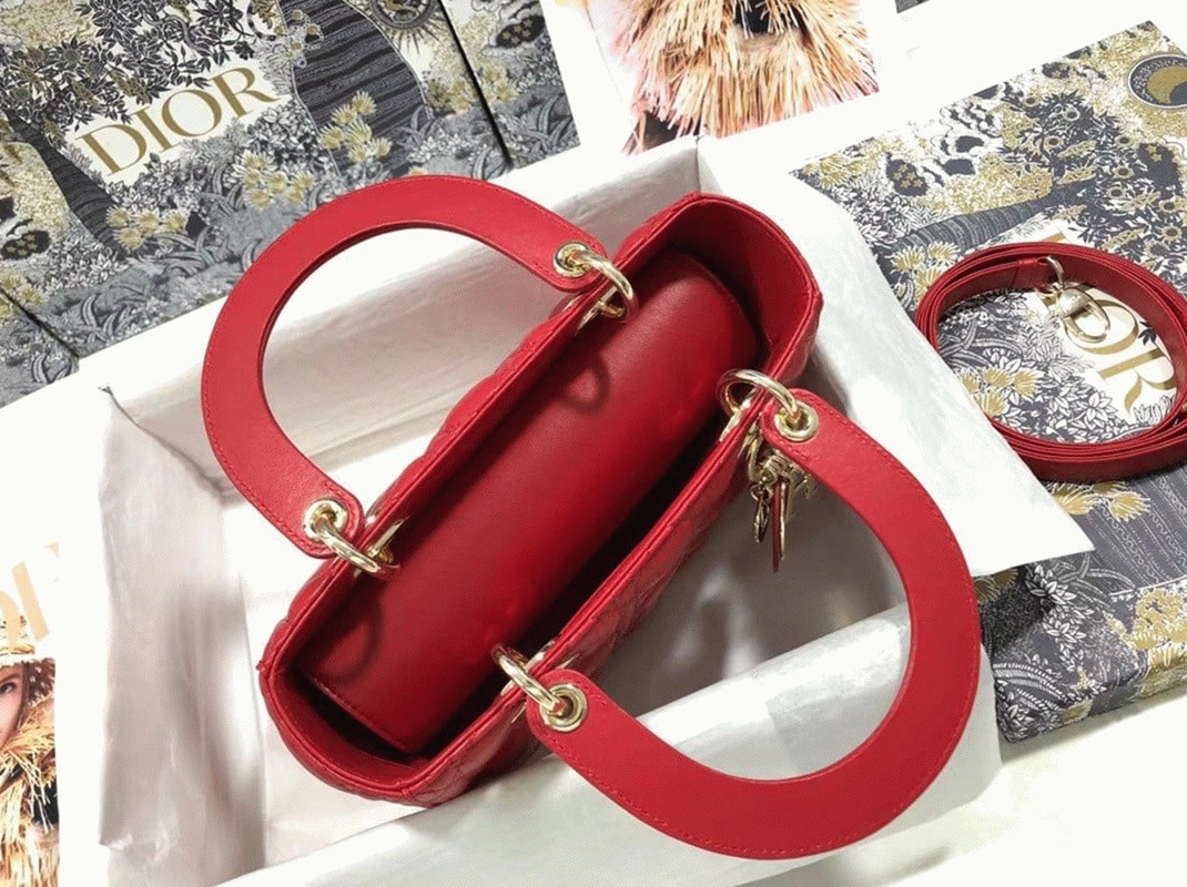 D10r Lady D10r Medium Bag Faux in Red