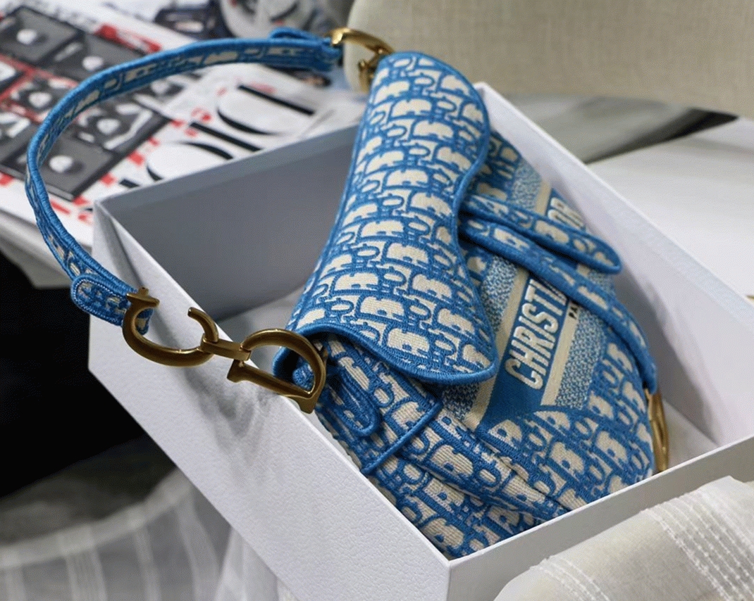 D10r Saddle Bag Fake in Cornflower Blue D10r Oblique Embroidery