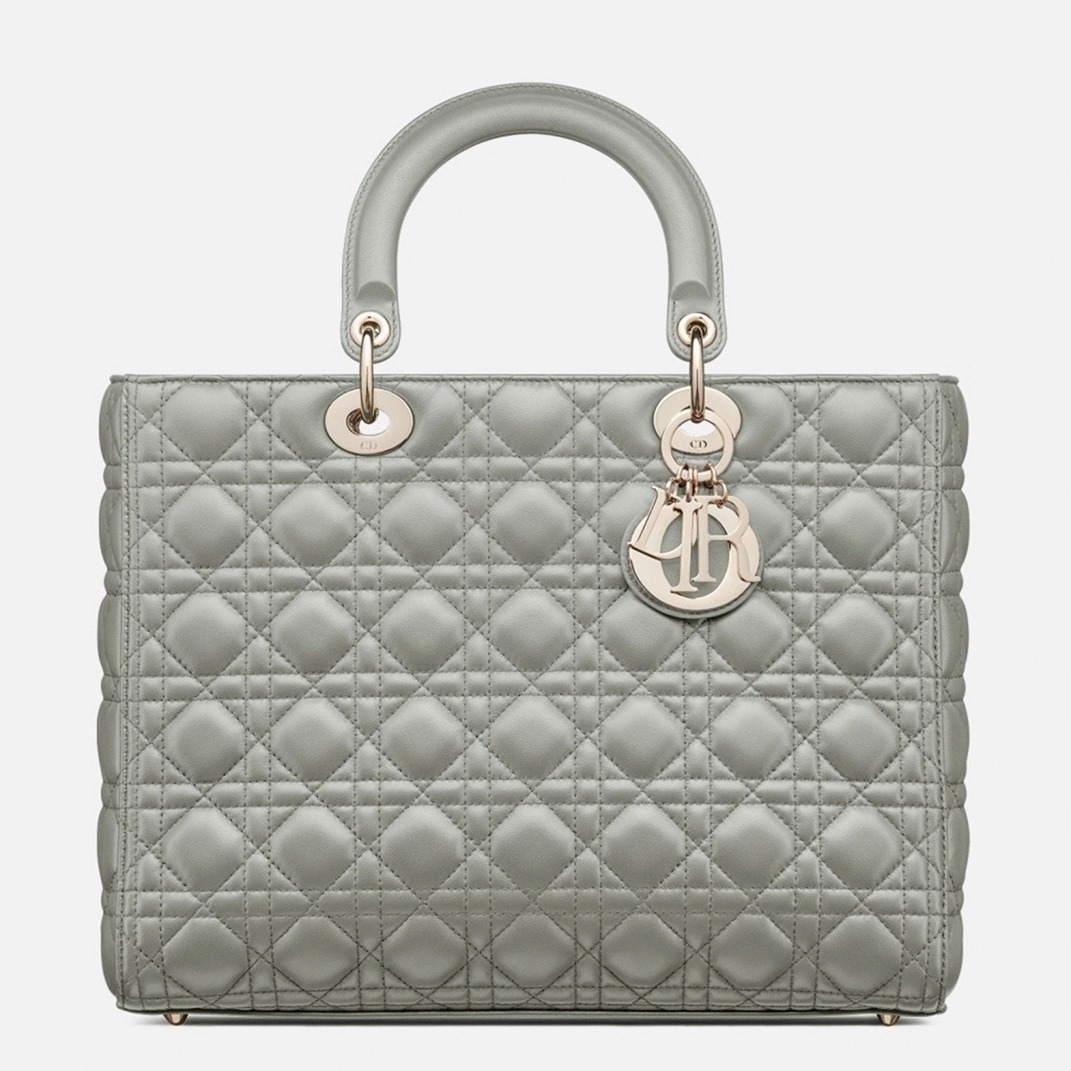 D10r Lady D10r Large Bag Replica in Grey