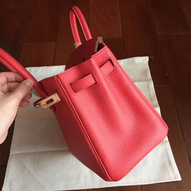 Bougainvillier H**me5 Birkin 25cm Top-Quality Fake