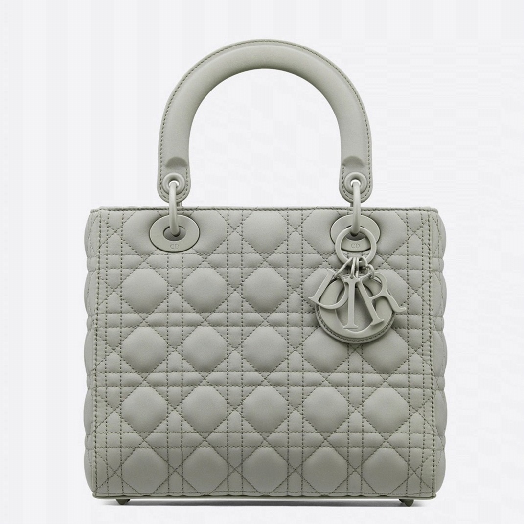 D10r Lady D10r Medium Bag Replica in Grey