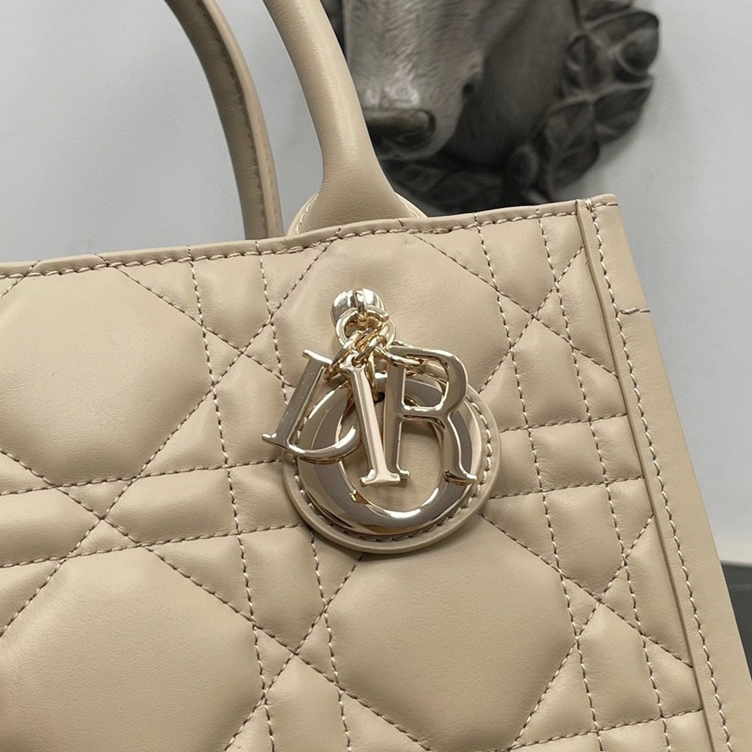 D10r Small Book Tote Bag Replica with Strap in Beige