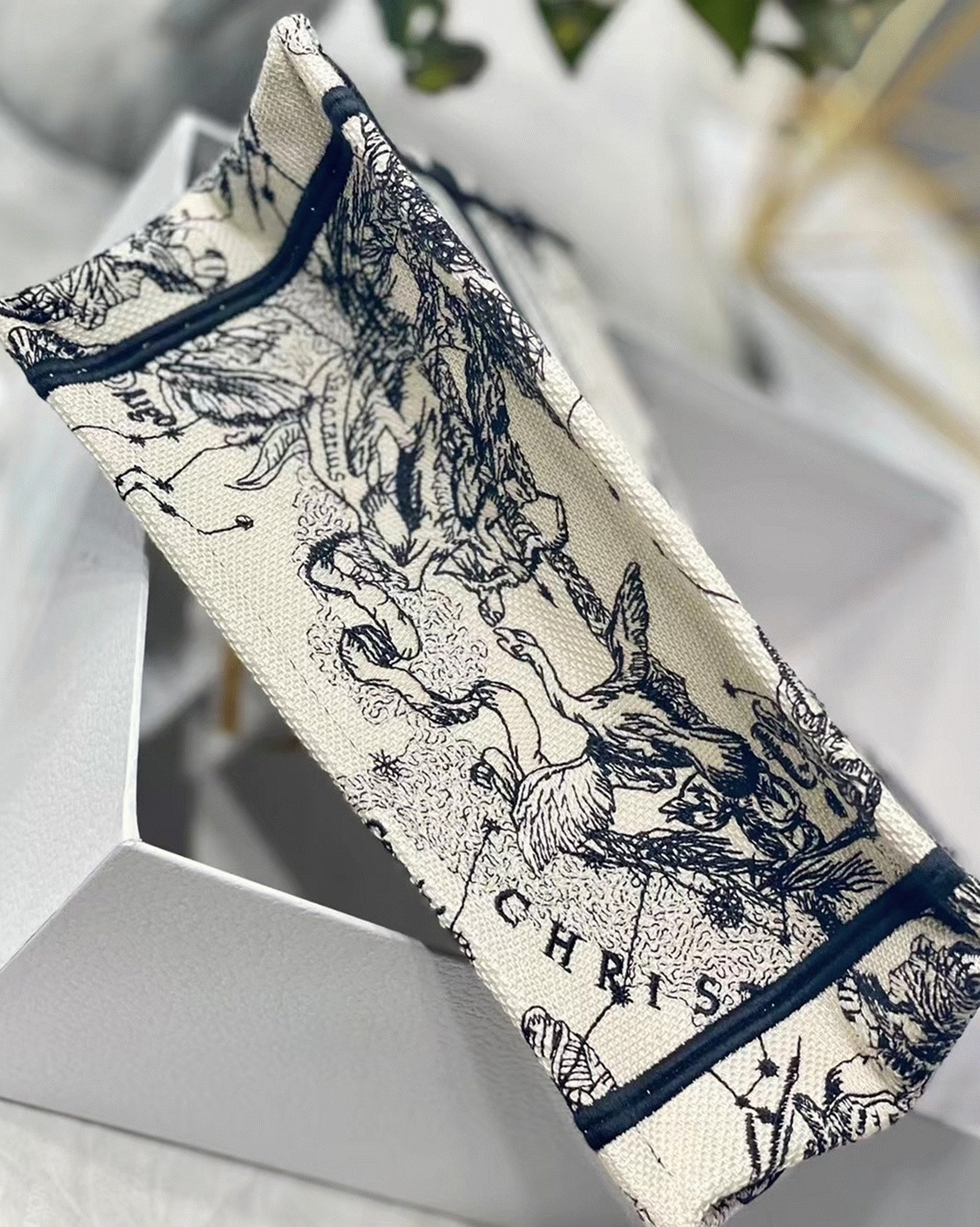 D10r Small Book Tote Bag Faux in White Toile de Jouy Zodiac Embroidery