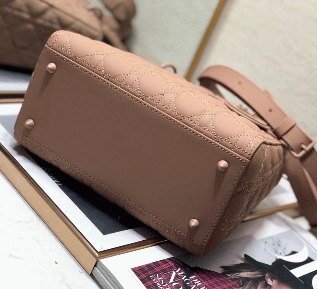 D10r Lady D10r Medium Bag Fake in Blush