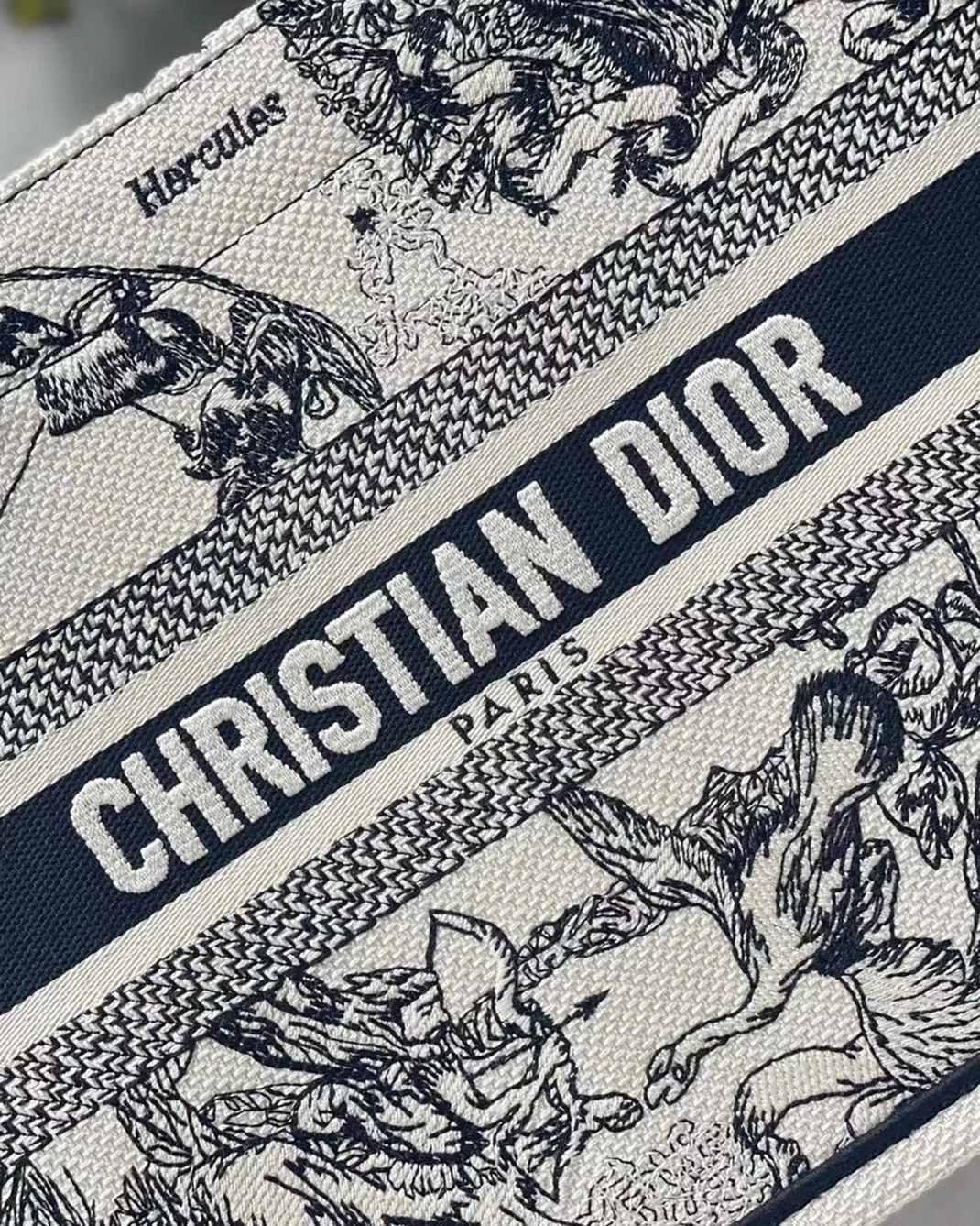 D10r Small Book Tote Bag Faux in White Toile de Jouy Zodiac Embroidery