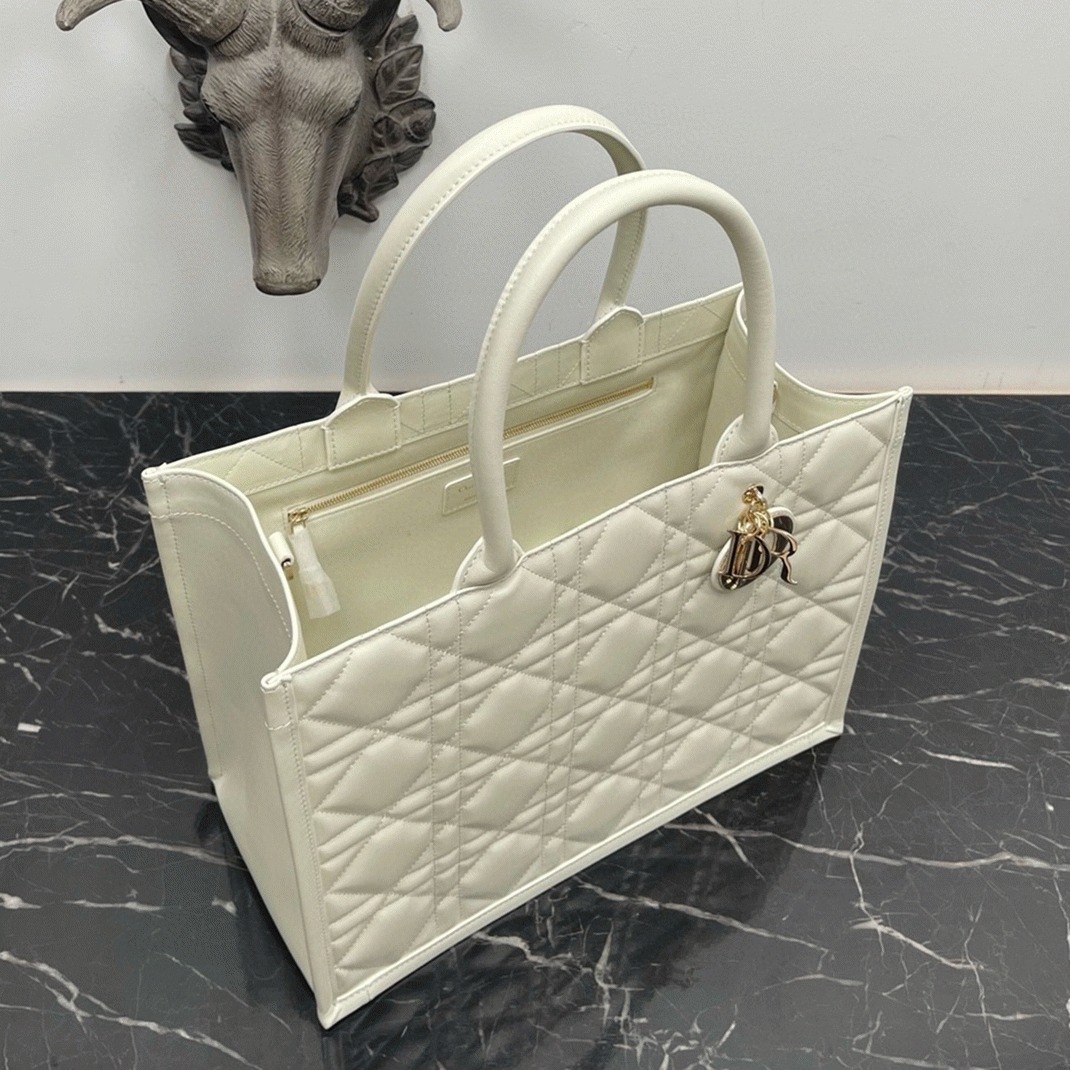 D10r Medium Book Tote Bag Knockoff with Strap in White