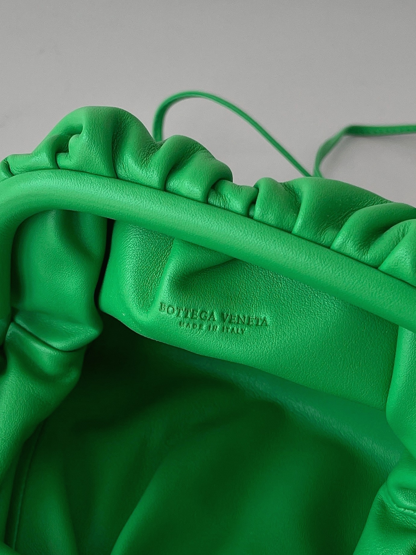 Fake B0tt*ga Ven*ta Mini Pouch with Strap Parakeet