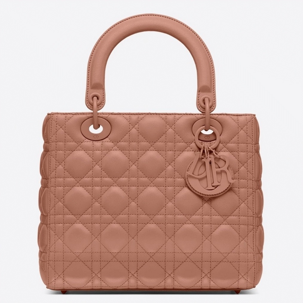 D10r Lady D10r Medium Bag Fake in Blush