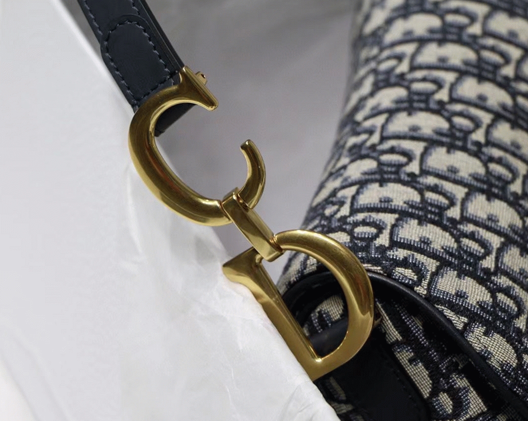 D10r Saddle Bag Knockoff in Blue D10r Oblique Jacquard