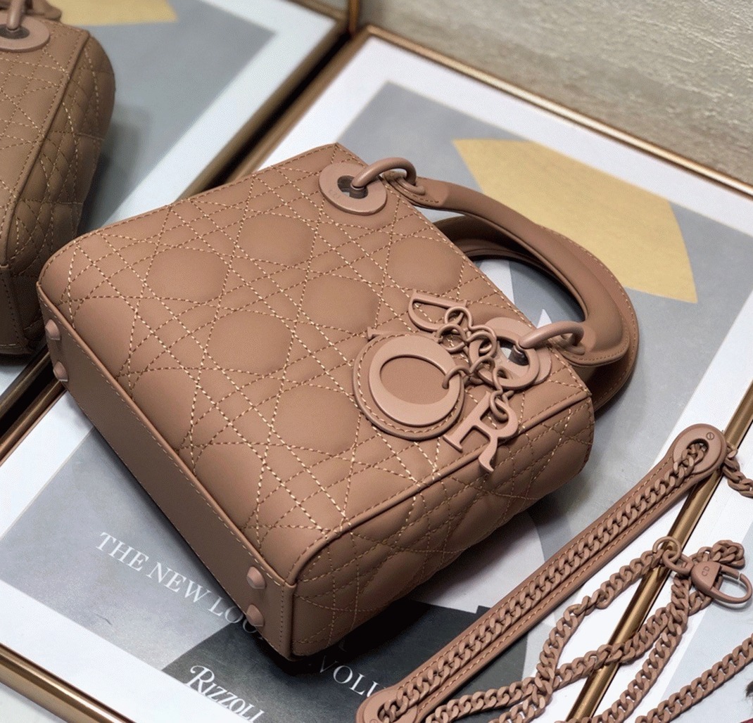 D10r Lady D10r Mini Chain Bag Replica in Blush