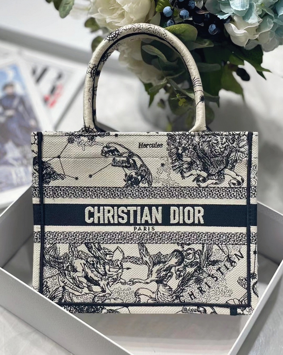 D10r Small Book Tote Bag Faux in White Toile de Jouy Zodiac Embroidery