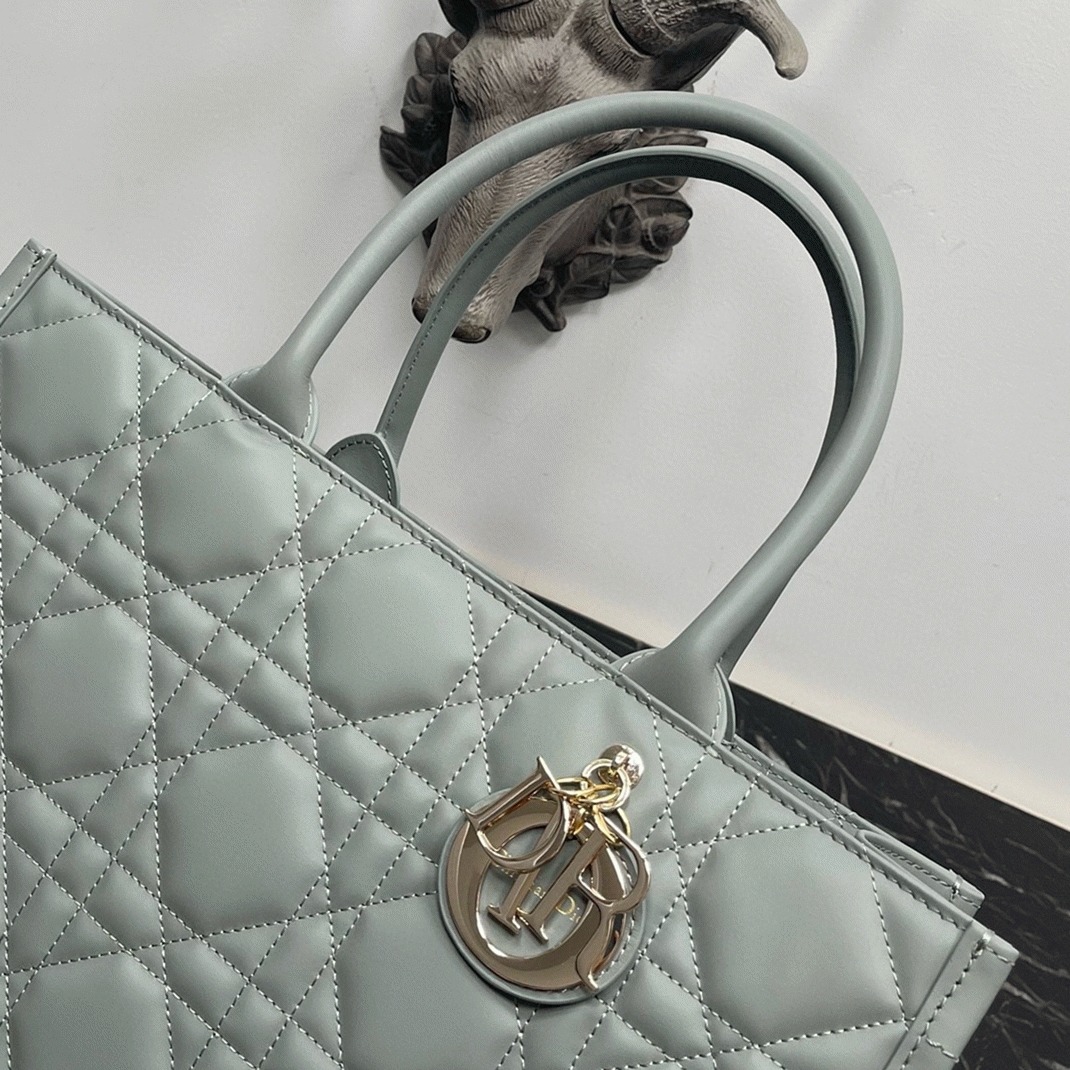 D10r Medium Book Tote Bag Replica with Strap in Grey