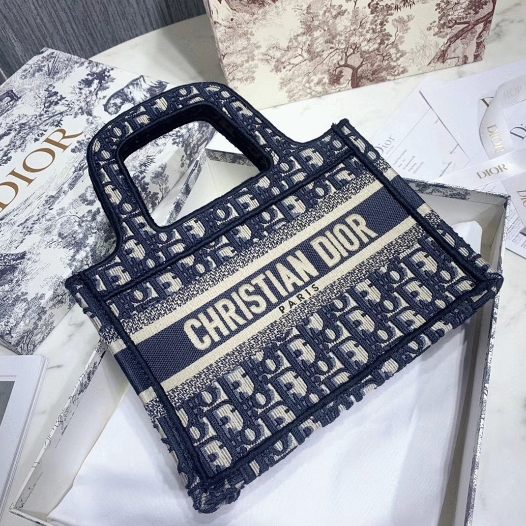 D10r Mini Book Tote Bag Fake in Blue D10r Oblique Embroidery