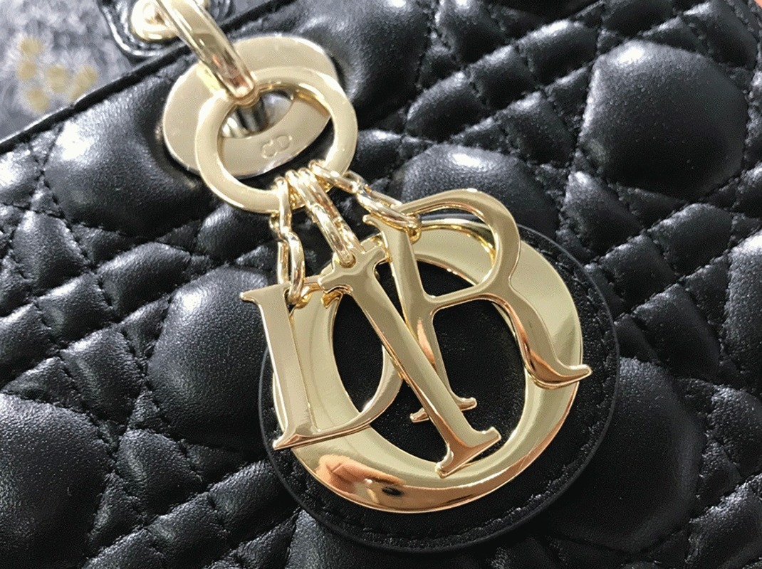 D10r Lady D10r Large Bag Knockoff in Black
