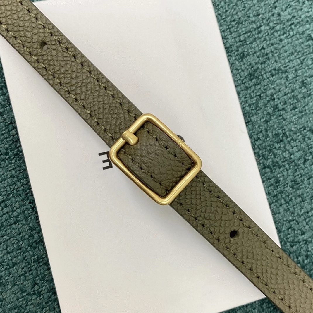 Ce1i*e Belt Nano Bag Fake in Army Green