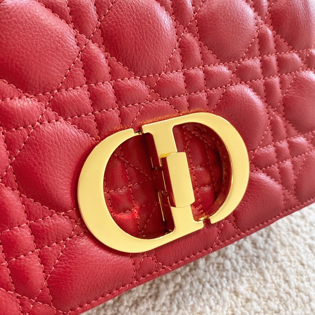 D10r Caro Small Bag Faux in Red