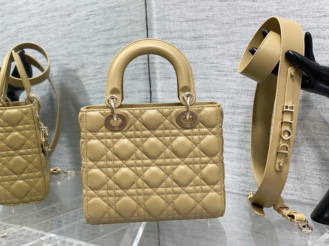 D10r Small Lady D10r My ABCD10r Bag Fake in Pastel Yellow