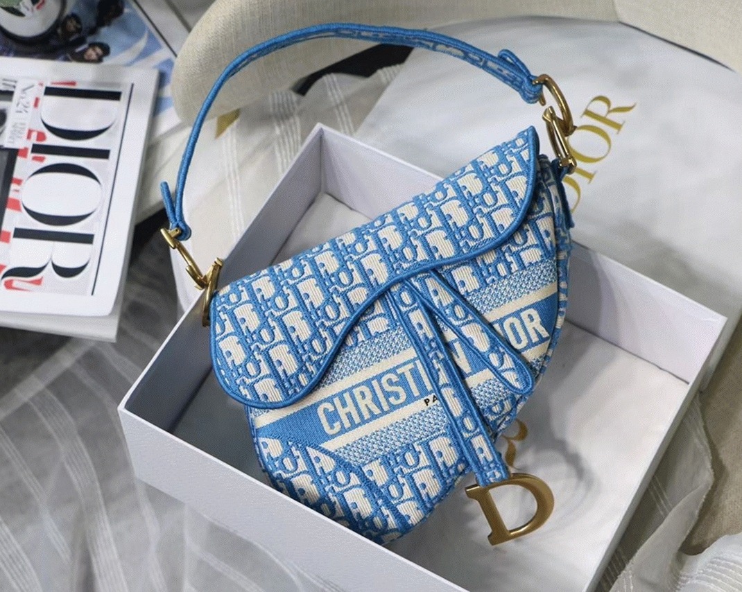 D10r Saddle Bag Fake in Cornflower Blue D10r Oblique Embroidery