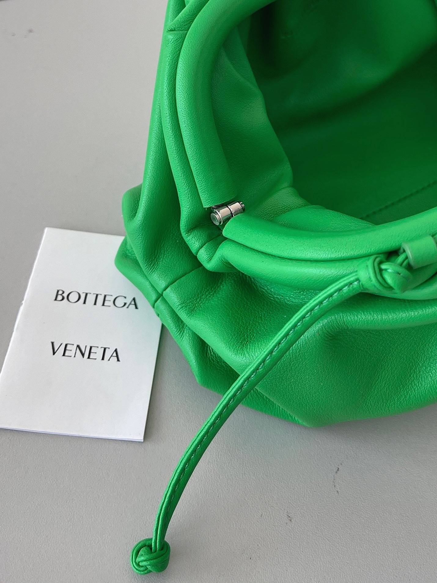 Fake B0tt*ga Ven*ta Mini Pouch with Strap Parakeet