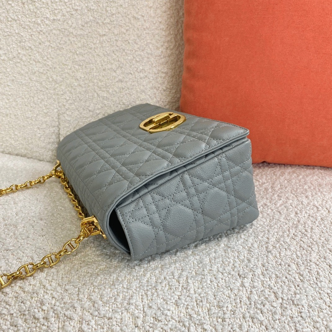 D10r Caro Large Bag Knockoff in Grey