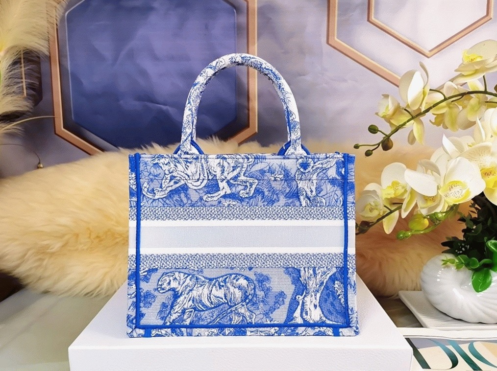 D10r Large Book Tote Bag Fake in Blue Transparent Toile de Jouy Canvas