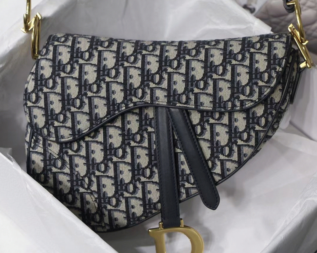 D10r Saddle Bag Knockoff in Blue D10r Oblique Jacquard