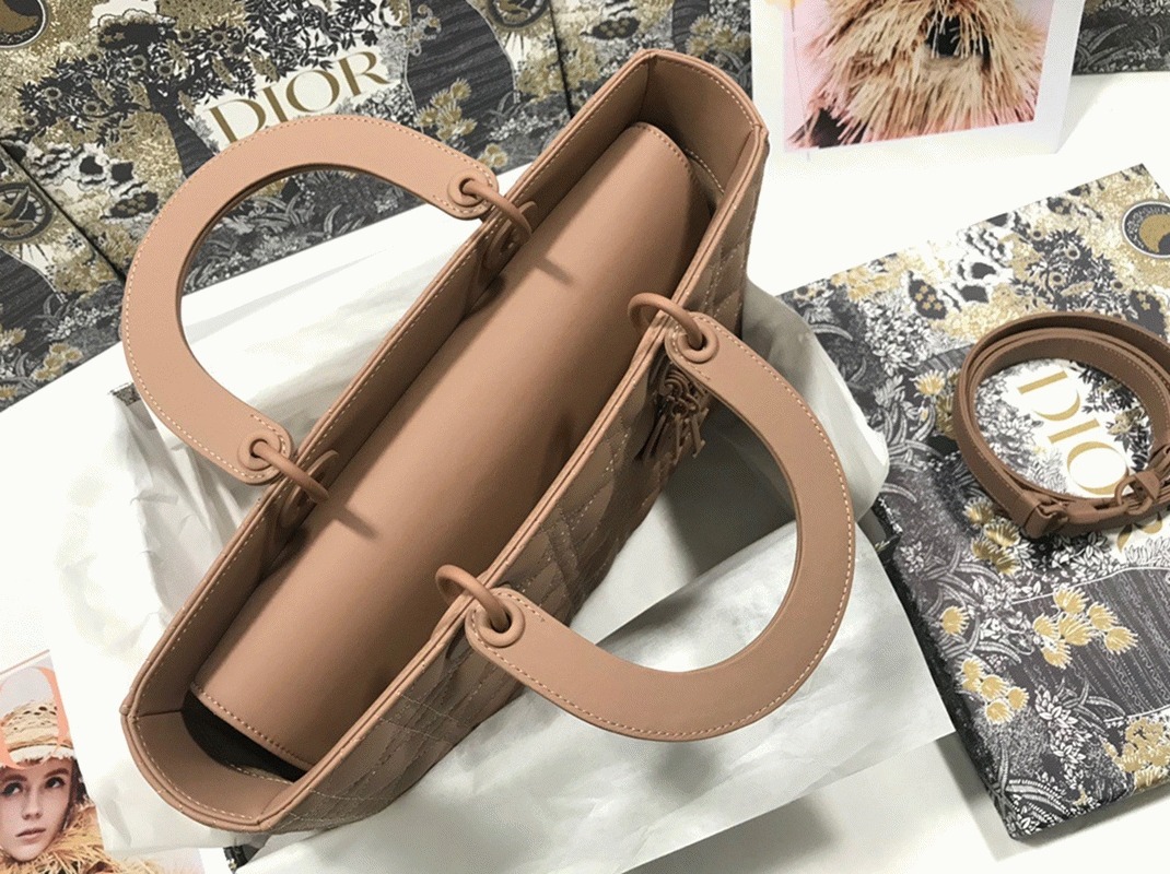 D10r Lady D10r Large Bag Knockoff in Blush