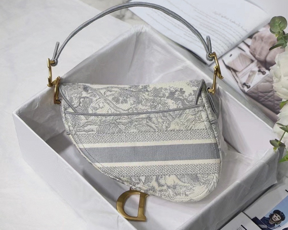 D10r Saddle Bag Fake in Grey Toile de Jouy Embroidery