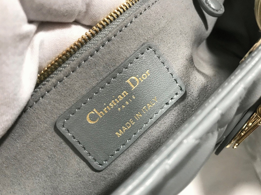 D10r Lady D10r Large Bag Replica in Grey