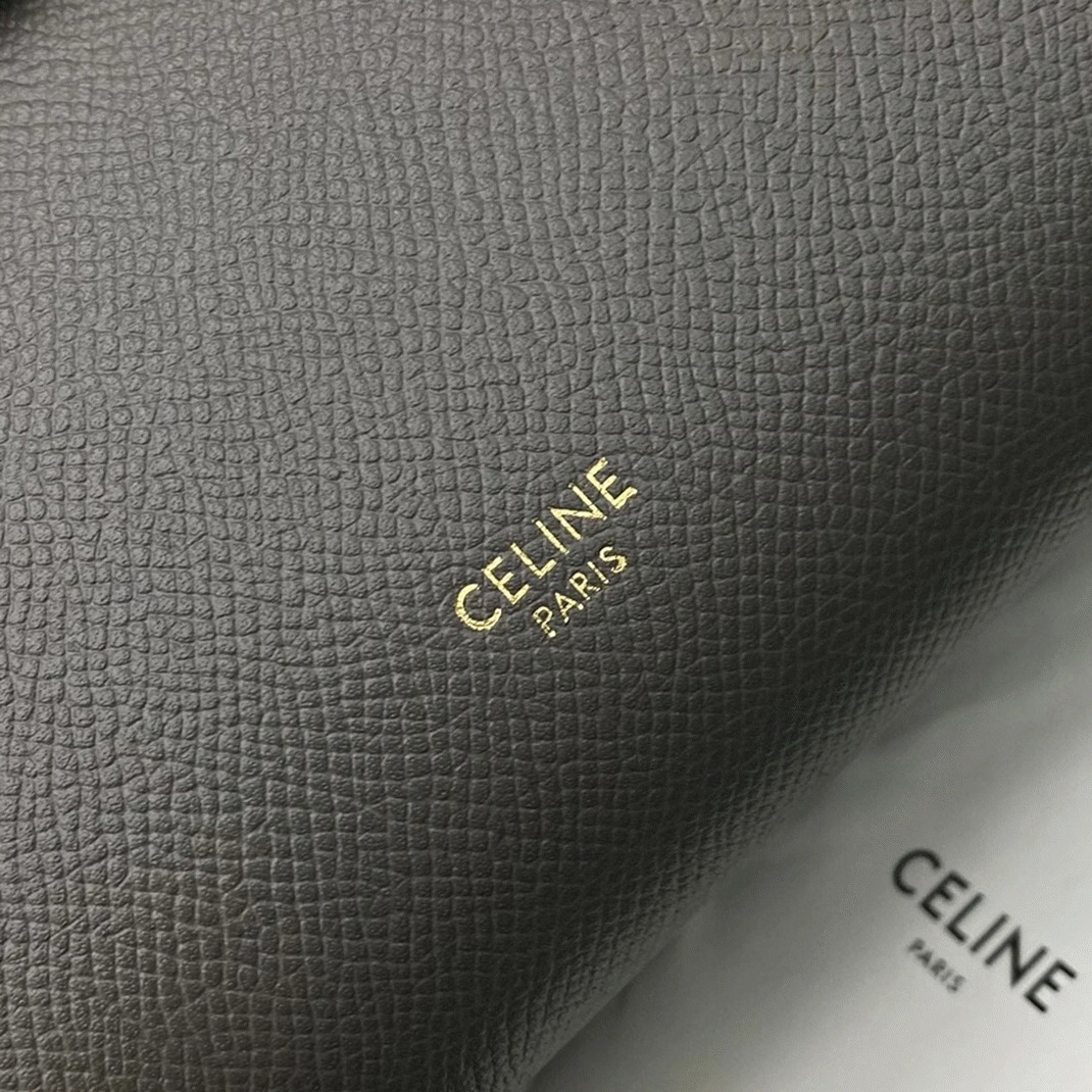Ce1i*e Belt Nano Bag Fake in Grey