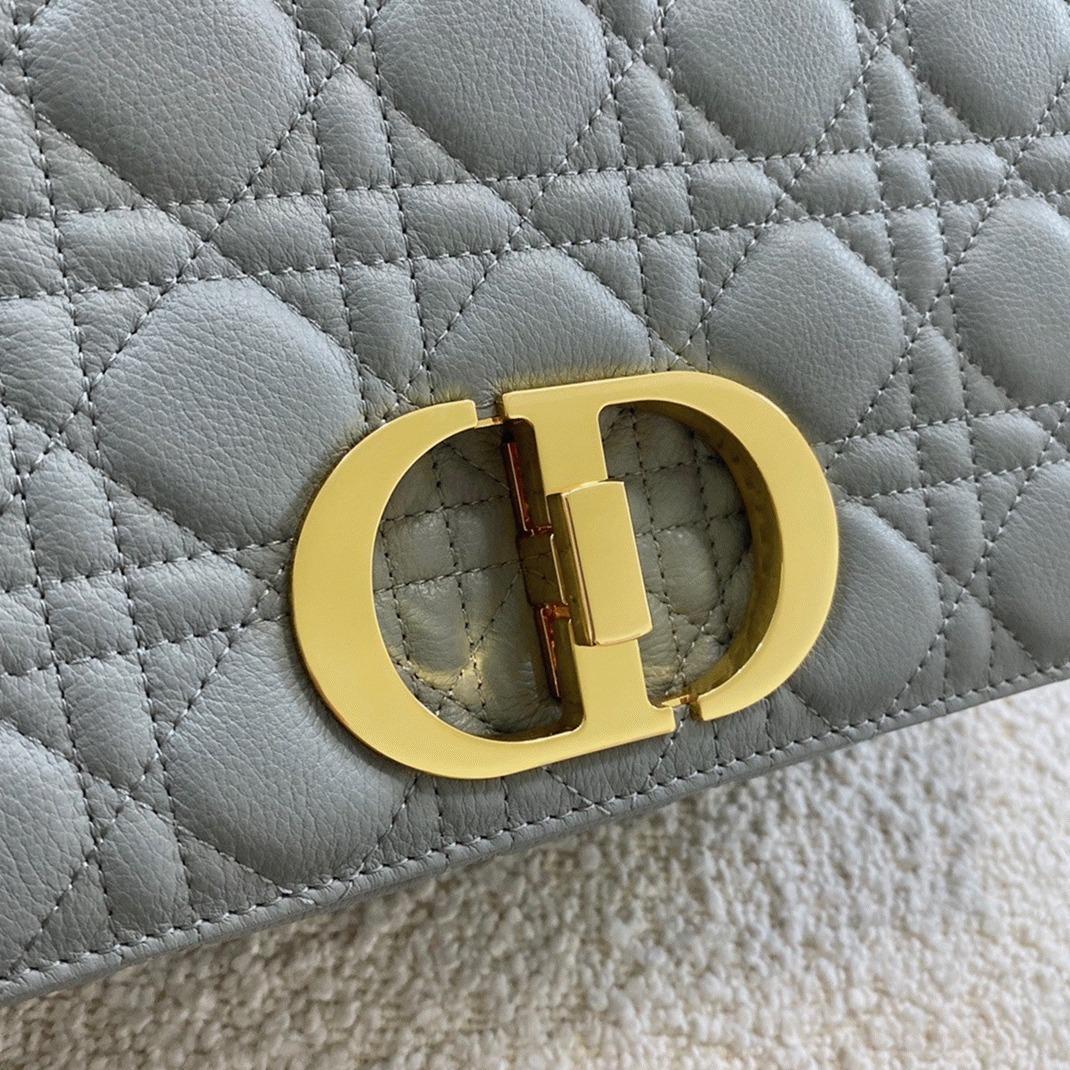 D10r Caro Large Bag Knockoff in Grey
