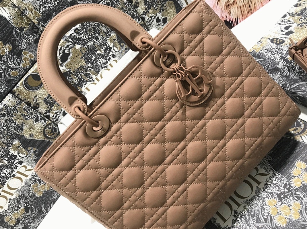 D10r Lady D10r Large Bag Knockoff in Blush